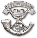 1st Somerset Light Infantry Badge